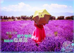 小学二年级描写春天景色的句子