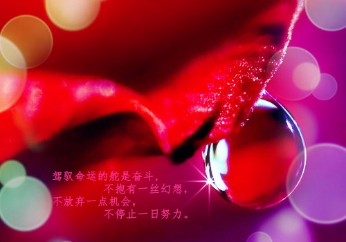 36,也许我可以尝试忘掉以前那些不愉快的事,也许一切可以重新开始.