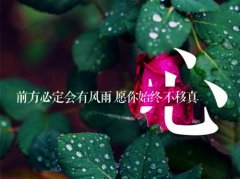 亏欠你的太多的伤感说说