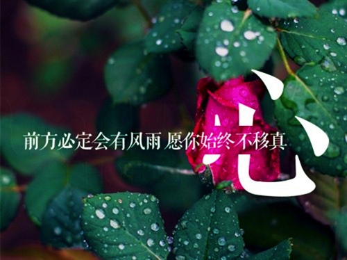 亏欠你的太多的伤感说说