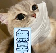 带口罩上班发朋友圈说说