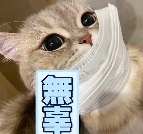 带口罩上班发朋友圈说说