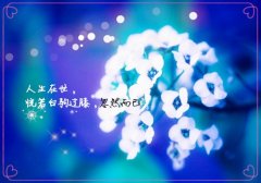 生活有许多身不由己的句子