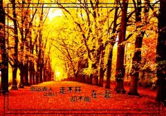 50句丧到极致的句子