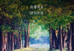 走自己的路的心情说说 不在乎别人的看法说说