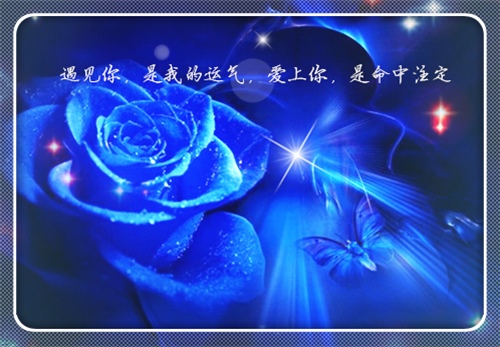 怎么开心怎么过的句子 活着开心最重要的句子