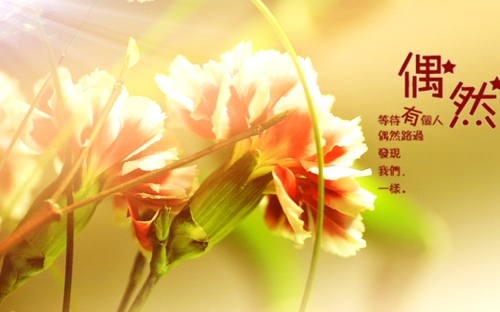 只怪自己命不好说说 感叹自己命不好的句子