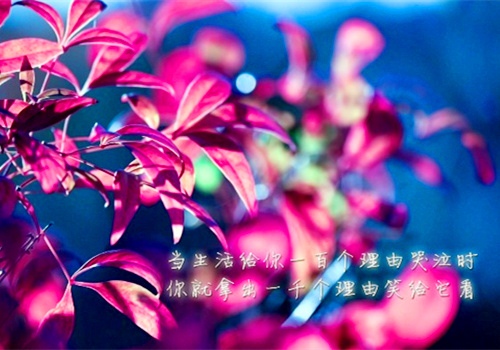 工作要干话更要会说摘抄别人的好句子共同学习！