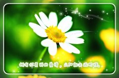 祝福公司越来越好的话 祝愿公司前程好的句子