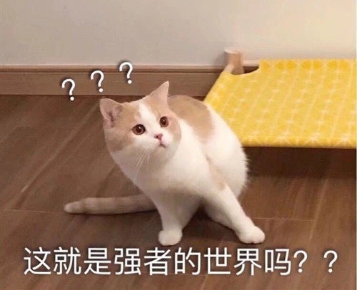 夸自己做饭的搞笑说说 秀一下自己厨艺的说说