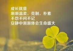 不服命运的霸气句子 不向命运低头的句子