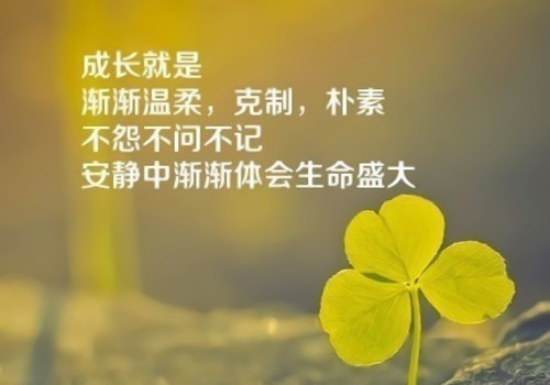 不服命运的霸气句子 不向命运低头的句子