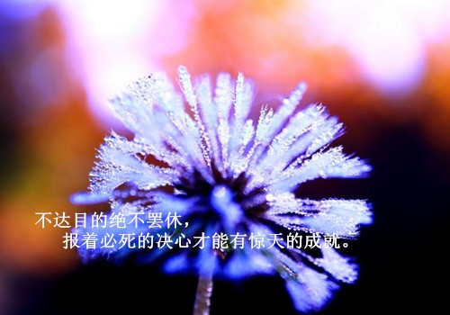 感慨患难见真情的句子 患难见真情经典语录