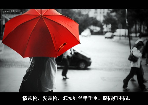 人不能太实在经典的话 做人不要太实在的说说