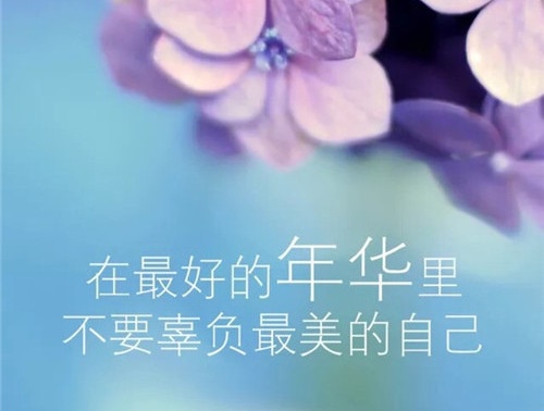 这个社会必须靠自己的句子