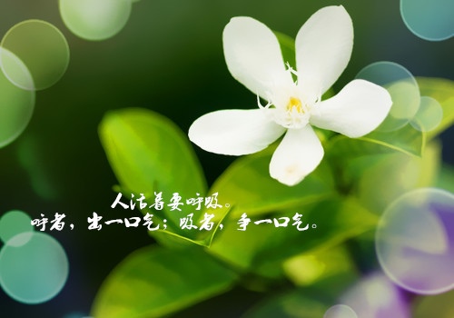 这个社会必须靠自己的句子