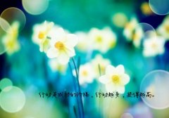 生活有苦有甜的说说 有苦有甜才是生活的说说
