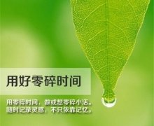 关于独立不依赖的句子 不依赖别人的经典语录