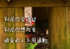 表面坚强内心脆弱说说 外表开心内心伤感说说