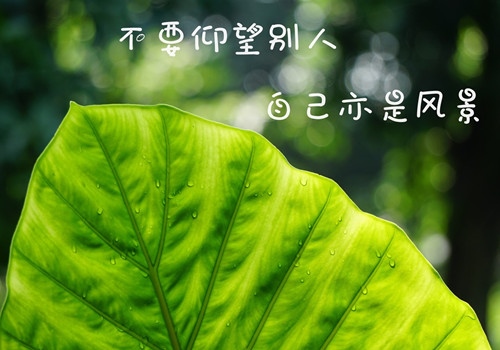 做一个正能量的人说说 做正能量的自己的说说