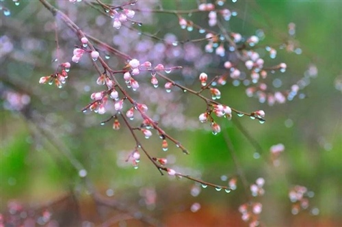 描写春雨的古诗大全