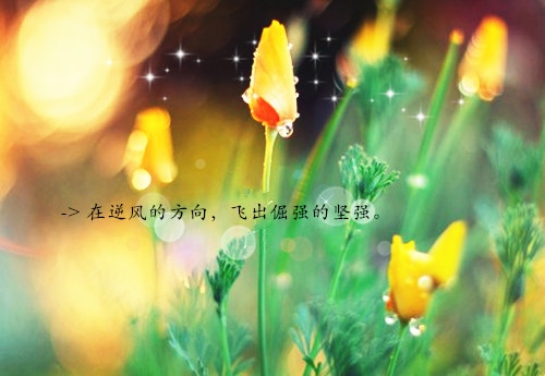 超级难懂深奥的句子 深奥的让人看不懂的话