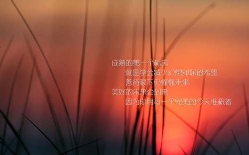 每个人生活不易的说说 生活本就不易的说说