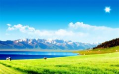 保护草原的宣传标语大全