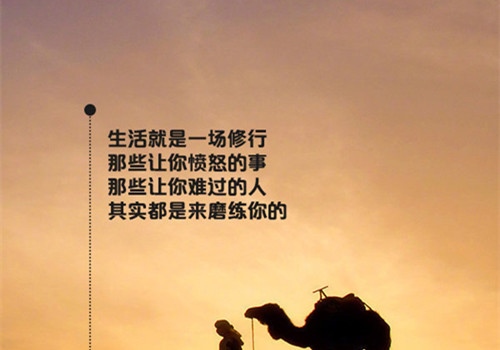 努力从来都不晚的句子 现在努力还不晚的句子