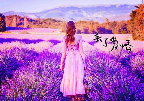 忘记一切重新开始句子 放下过去重新开始短句