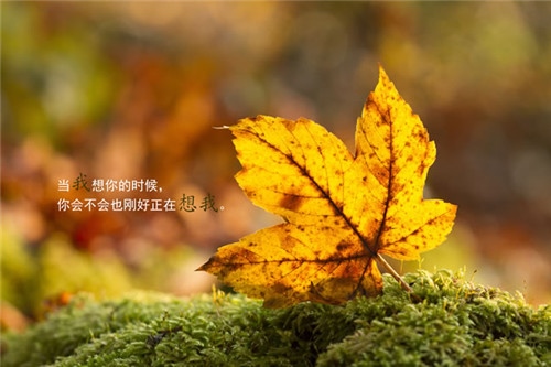 说话没经过大脑的说说 不经大脑说错话的说说