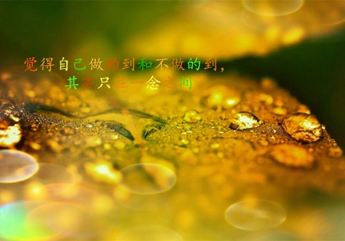 勇敢面对一切的句子 勇敢面对生活的激励话