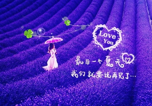 谢谢你爱过我的句子