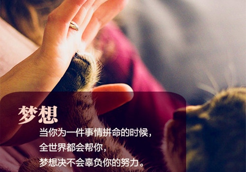 一句话骂醒不努力的人 讽刺不努力的人的句子