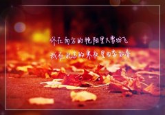 学会理解和包容的句子 多一份包容和理解的句子