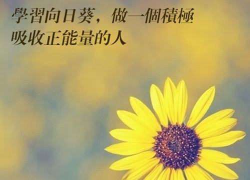 人生永不言弃的句子 永不言弃的正能量句子