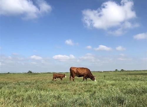 发朋友圈感恩的句子 适合发朋友圈感恩的话