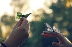 简短温暖人心的话 温暖人心的唯美句子