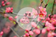 适合男生的正能量句子 男人简短正能量语录