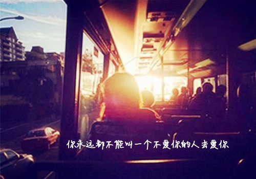 亲情可贵经典的句子