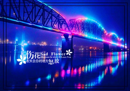 形容夜晚很凄凉的句子