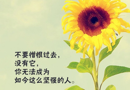 享受生活的唯美句子