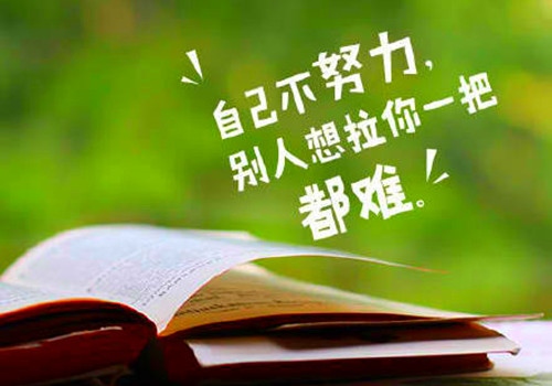 早晨充满正能量的句子 清晨寄语励志一句话
