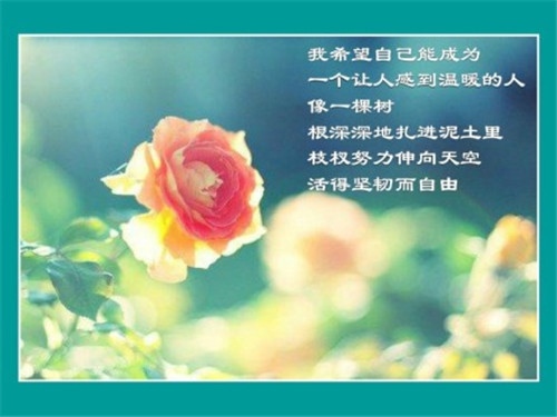 不要纠结于过去的句子