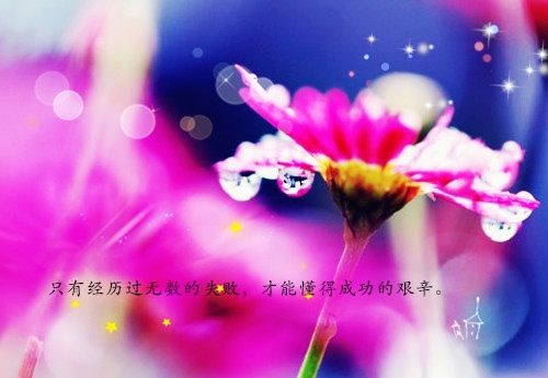 为自己任性买单的说说
