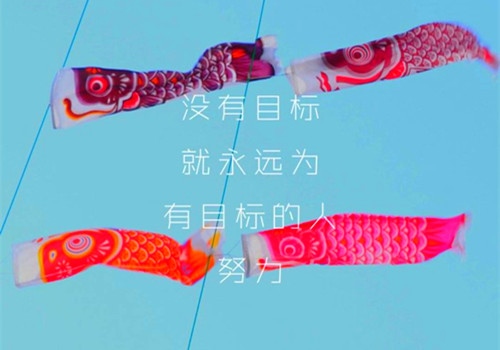 抬头仰望天空励志句子