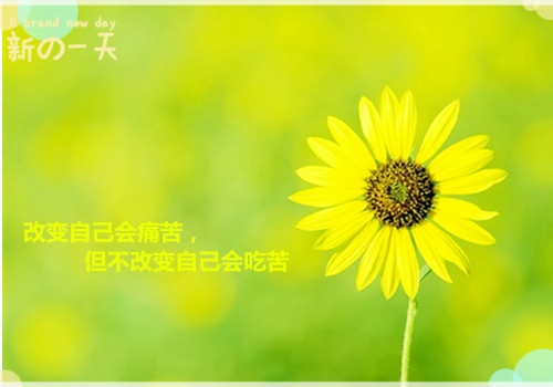 鼓励自己简单的一句话 一句简单激励自己的话