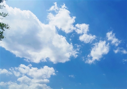 写夏天的风经典句子