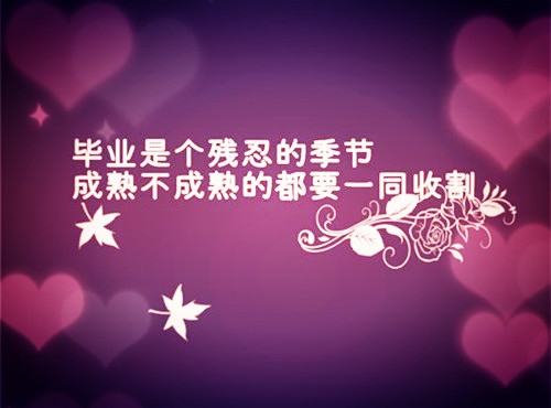 毕业同学录文艺的句子