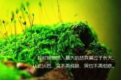 人生道路砍柯的说说 坎坎坷坷人生路说说
